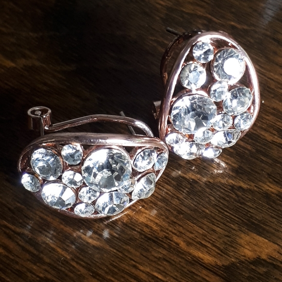 🆓 Rose Gold Bling Earrings - Picture 4 of 4